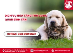 Dịch vụ hỏa táng thú cưng quận Bình Tân