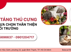 HỎA TÁNG THÚ CƯNG - MỘT LỰA CHỌN THÂN THIỆN VỚI MÔI TRƯỜNG