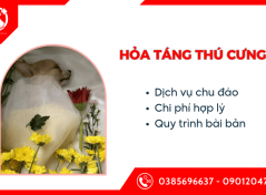 Những lý do nên lựa chọn dịch vụ hỏa táng thú cưng tại Y-PET Hospital