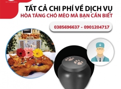 Tất cả chi phí về dịch vụ hỏa táng chó mèo mà bạn cần biết