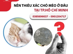 Nên thiêu xác chó mèo ở đâu tại Thành phố Hồ Chí Minh