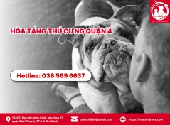 Hỏa táng thú cưng quận 4