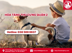 Hỏa táng thú cưng quận 2