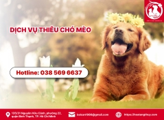 Dịch vụ thiêu chó mèo