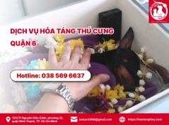 Dịch vụ mai táng chó mèo