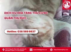 Dịch vụ hỏa táng thú cưng quận Thủ Đức