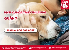 1. Dịch vụ hỏa táng thú cưng quận 7 có mấy loại?