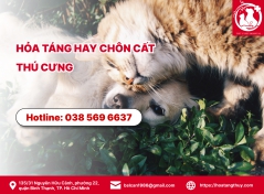 Hỏa táng hay chôn cất thú cưng