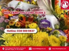 Hỏa táng thú cưng quận 3