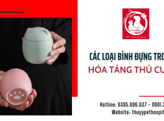 Tìm hiểu về các loại bình đựng tro cốt hỏa táng thú cưng