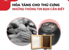 HỎA TÁNG CHO THÚ CƯNG - NHỮNG THÔNG TIN BẠN CẦN BIẾT