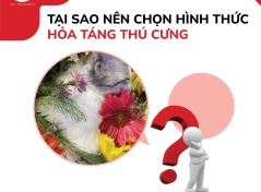 TẠI SAO NÊN CHỌN HÌNH THỨC HỎA TÁNG THÚ CƯNG ?