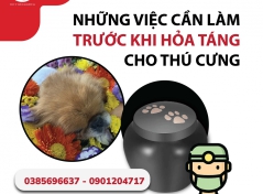 NHỮNG VIỆC CẦN LÀM TRƯỚC KHI HỎA TÁNG CHO THÚ CƯNG