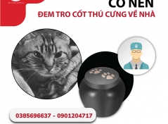 CÓ NÊN ĐEM TRO CỐT THÚ CƯNG VỀ NHÀ? NHỮNG CÁCH XỬ LÝ TRO CỐT THÚ CƯNG SAU KHI HỎA TÁNG