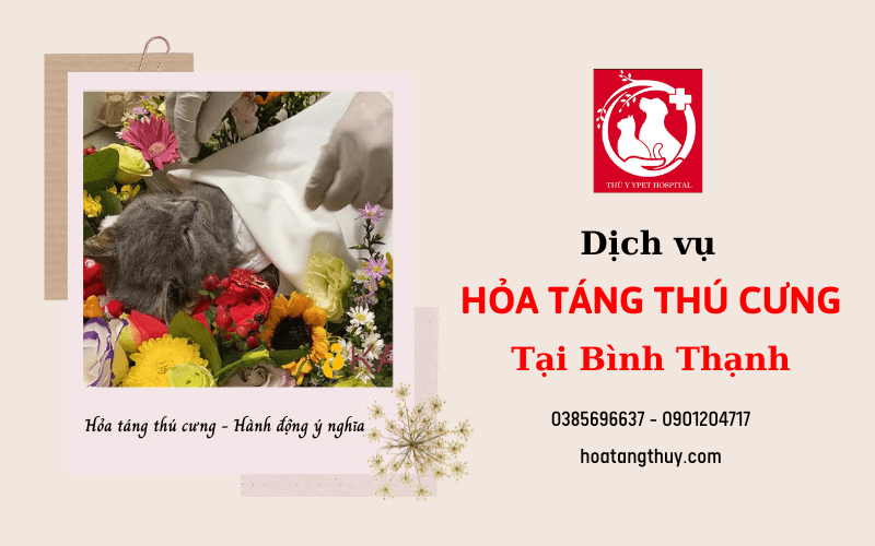 hỏa táng thú cưng