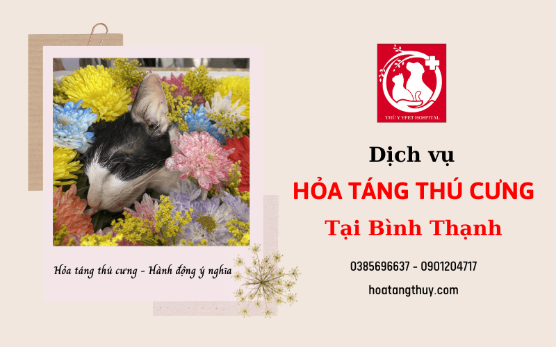 hỏa táng thú cưng