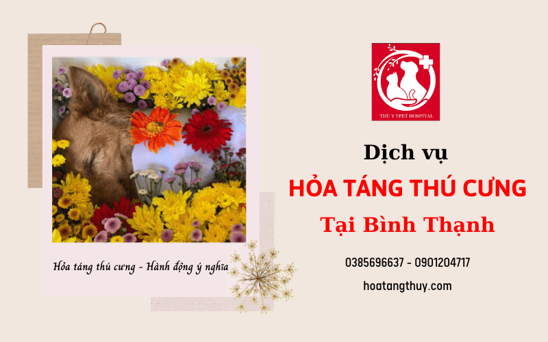 hỏa táng thú cưng