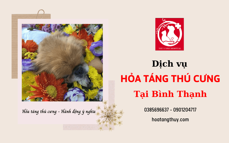 hỏa táng thú cưng