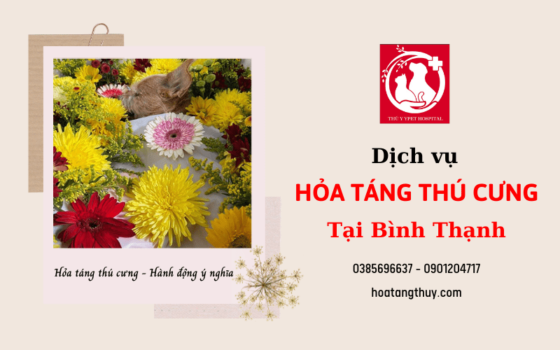 hỏa táng thú cưng