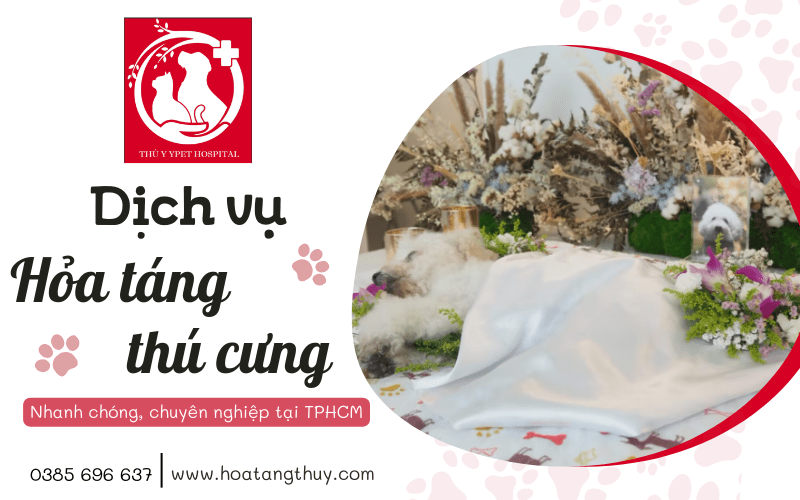 Diễn đàn rao vặt tổng hợp: Dịch vụ hỏa táng cho thú cưng nhanh chóng chuyên nghi Dich-vu-hoa-tang-cho-thu-cung-nhanh-chong-chuyen-nghiep-tai-tphcm-1