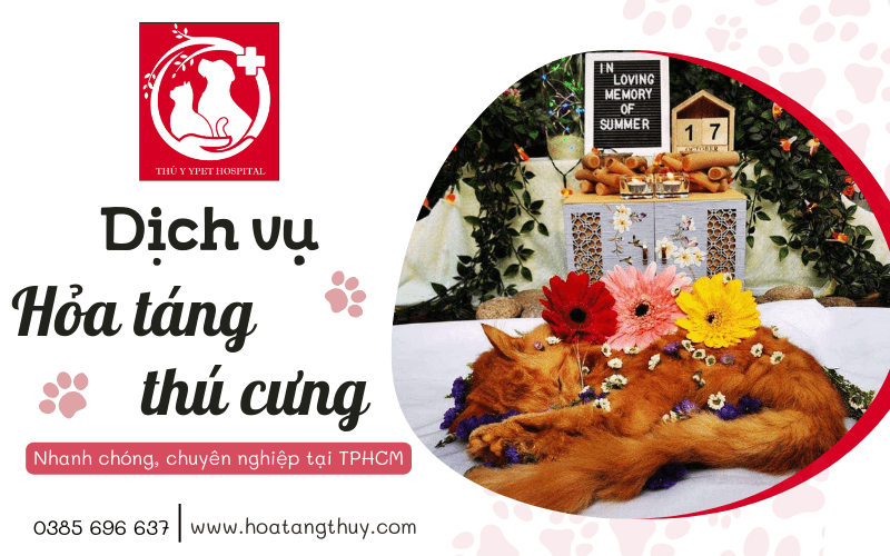 Diễn đàn rao vặt tổng hợp: Dịch vụ hỏa táng cho thú cưng nhanh chóng chuyên nghi Dich-vu-hoa-tang-cho-thu-cung-nhanh-chong-chuyen-nghiep-tai-tphcm-3