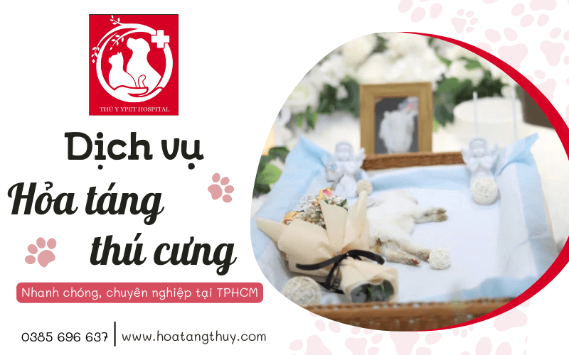 Diễn đàn rao vặt tổng hợp: Dịch vụ hỏa táng cho thú cưng nhanh chóng chuyên nghi Dich-vu-hoa-tang-cho-thu-cung-nhanh-chong-chuyen-nghiep-tai-tphcm-5