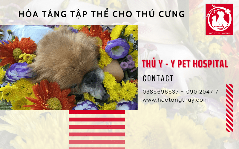 hỏa táng tập thể cho thú cưng