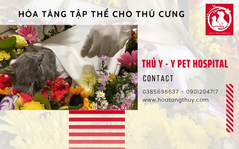 hỏa táng tập thể cho thú cưng