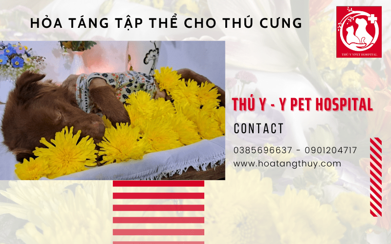 hỏa táng tập thể cho thú cưng