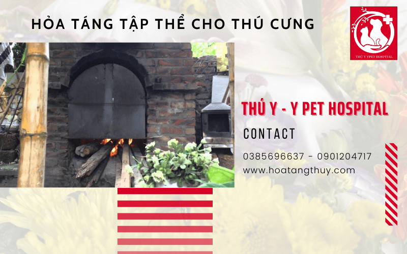 hỏa táng tập thể cho thú cưng