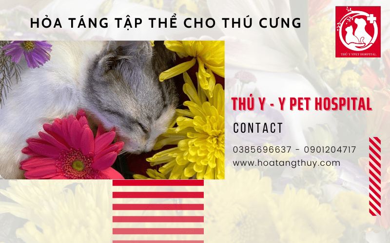 hỏa táng tập thể cho thú cưng