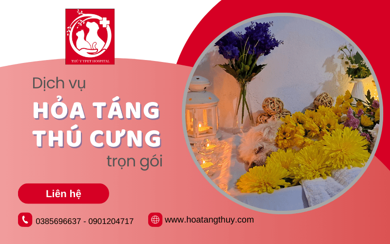 dịch vụ hỏa táng thú cưng trọn gói