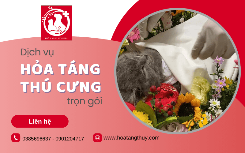 dịch vụ hỏa táng thú cưng trọn gói