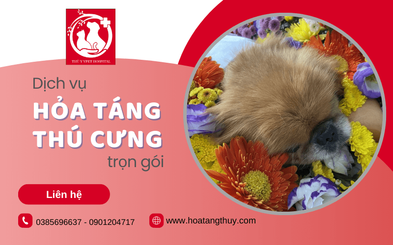 dịch vụ hỏa táng thú cưng trọn gói