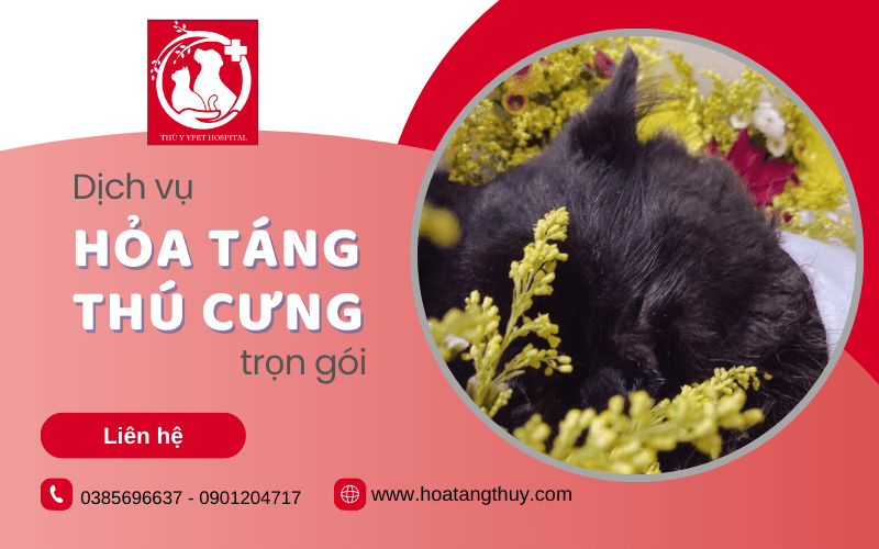 dịch vụ hỏa táng thú cưng trọn gói