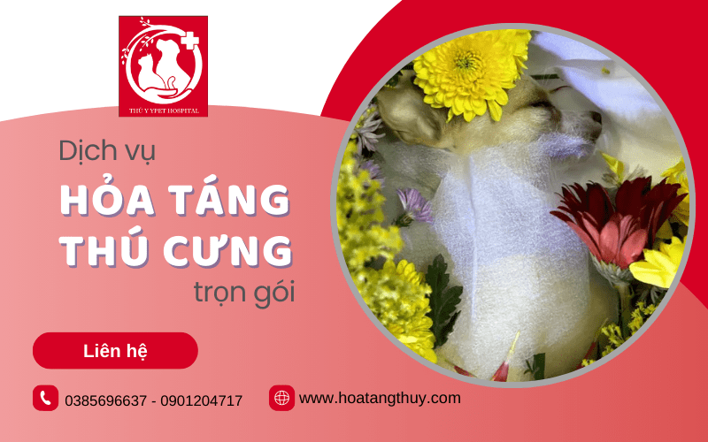 dịch vụ hỏa táng thú cưng trọn gói