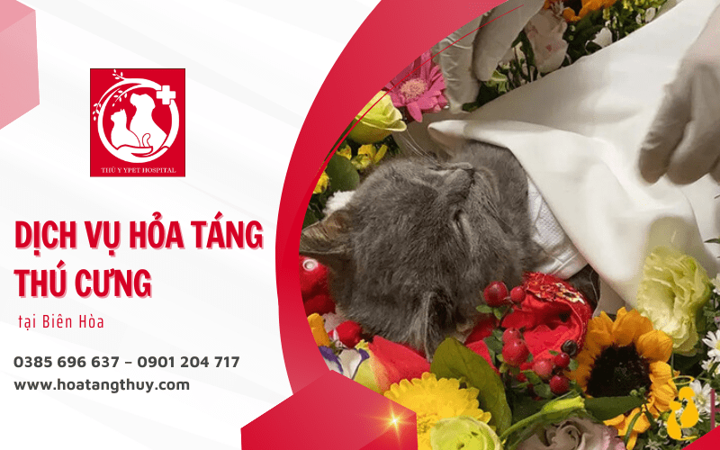 hỏa táng thú cưng