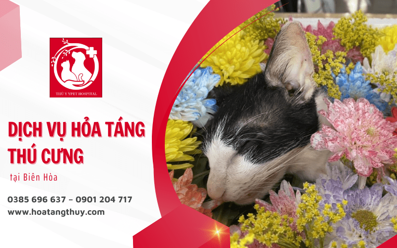 hỏa táng thú cưng