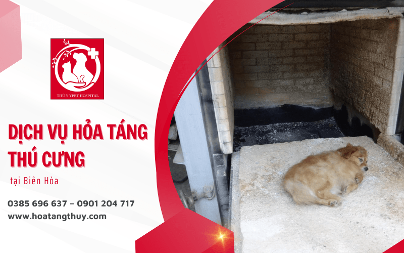 hỏa táng thú cưng