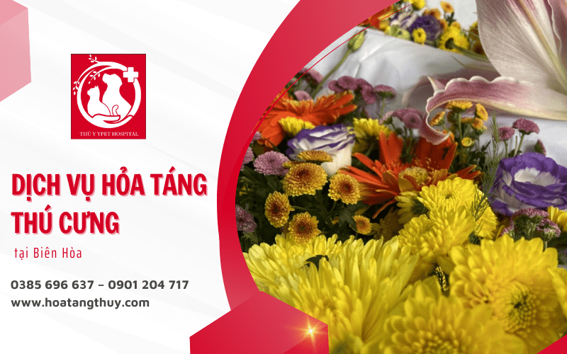 hỏa táng thú cưng