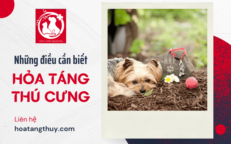 hỏa táng thú cưng