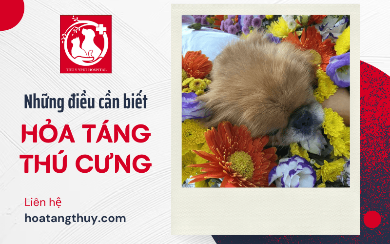 hỏa táng thú cưng