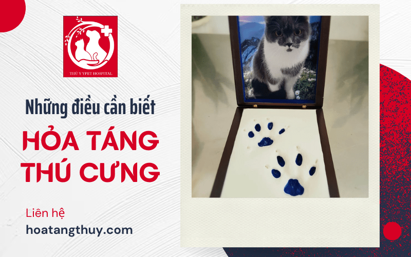 hỏa táng thú cưng