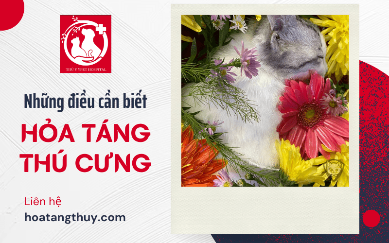 hỏa táng thú cưng