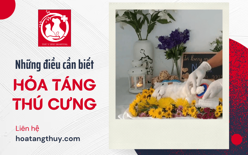 hỏa táng thú cưng