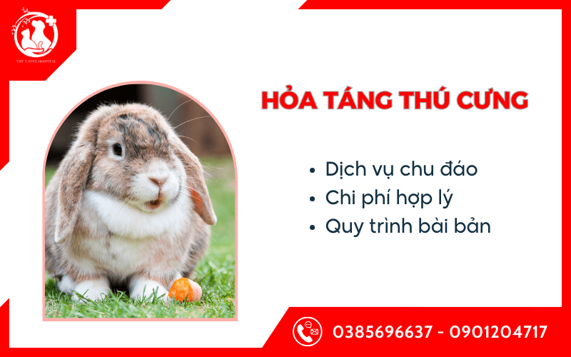 hỏa táng thú cưng