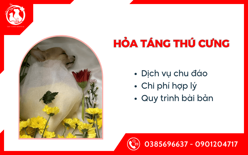 hỏa táng thú cưng