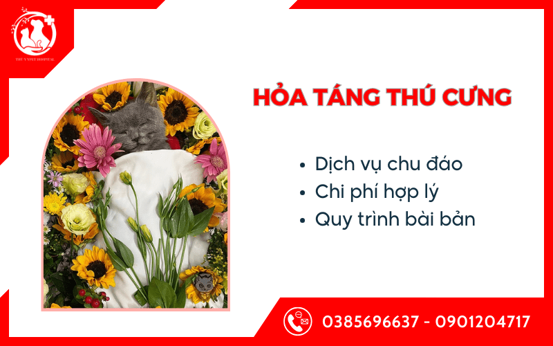 hỏa táng thú cưng