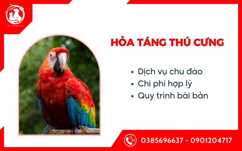 hỏa táng thú cưng