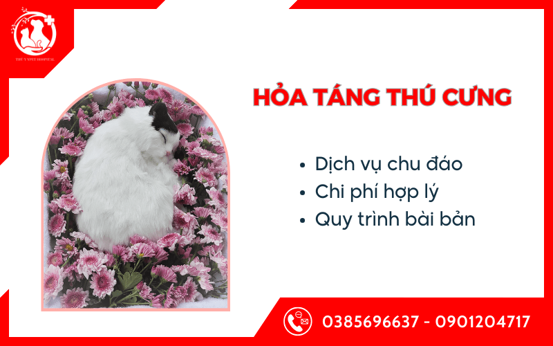 hỏa táng thú cưng